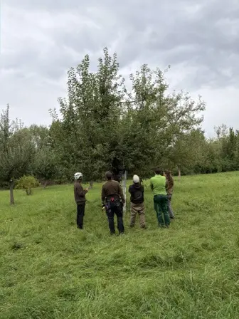 Foto treephoto-fpfw5aaxauvucq0xoltyy5wq.jpeg