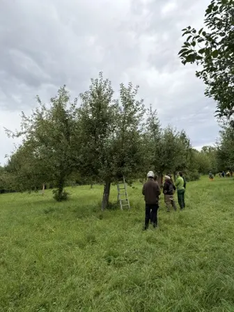 Foto treephoto-fr8uglvguk0odrxtf4akvvq2.jpeg