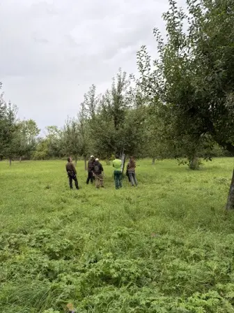Foto treephoto-snp8svxtinwfxg0jz8vcofwn.jpeg