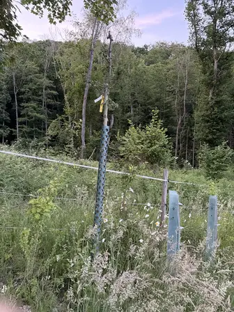 Foto treephoto-d9bibsw2rnkw0hnr3n146f6g.jpeg