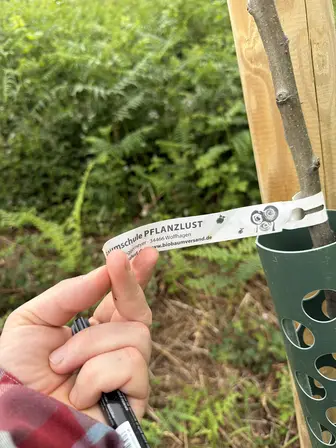 Foto treephoto-n43gdyydd3gcigr4wngzg67q.jpeg