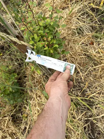 Foto treephoto-g1pvvnpa41199deu7ieq5hg7.jpeg