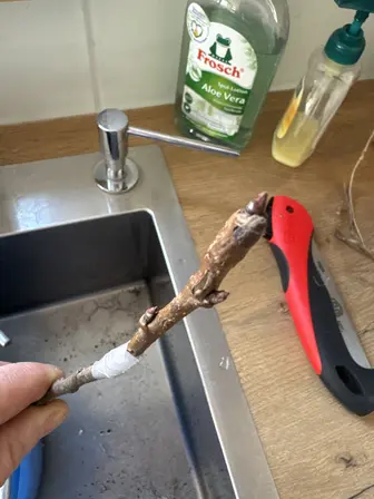 Foto upload-pdjav8b4s12l60y9y4ddoaia.jpeg
