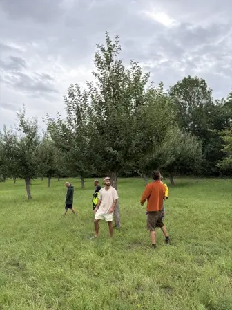 Foto treephoto-whpi3vtgzzohllmg5czmr4dh.jpeg