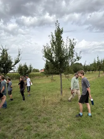 Foto treephoto-xel858gk0orn7s5pdfdg2ojs.jpeg