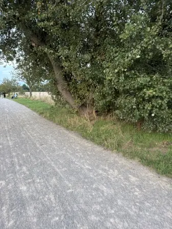 Foto treephoto-te929zwmcdjifg9aph9fnp0k.jpeg