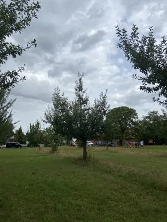 Foto treephoto-cjionquevrv4gvxrlw8cfvsz.jpeg