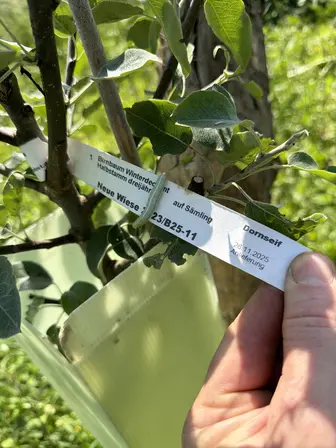Foto treephoto-fjhe8zh0sg0szeyiqp5ipzhm.jpeg