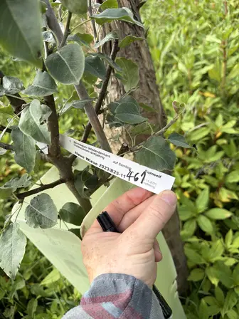 Foto treephoto-veuu4jkz1crk2l9yj5h6z695.jpeg