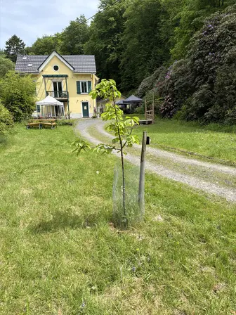 Foto treephoto-dt7588a75pezlonbnxaiajws.jpeg
