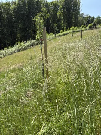 Foto treephoto-arfy4zm2y18igfl6p6nrmg3b.jpeg