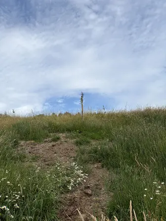 Foto treephoto-ehho552945xo59tc6qwmfkfi.jpeg