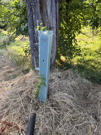 Foto treephoto-wgdfh17gk0xzno903428unq8.jpeg