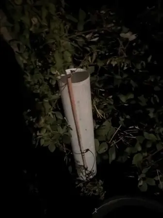 Foto treephoto-ffzu1foozv7fq3e0rtyd4ucc.jpeg